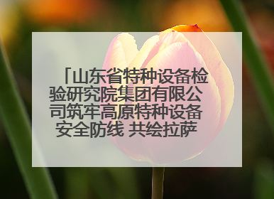 山东省特种设备检验研究院集团有限公司筑牢高原特种设备安全防线 共绘拉萨美好生活画卷