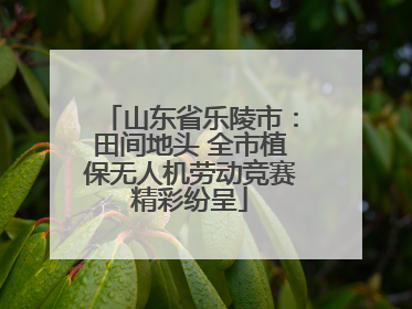 山东省乐陵市：田间地头 全市植保无人机劳动竞赛精彩纷呈