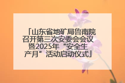 山东省地矿局鲁南院召开第三次安委会会议暨2025年“安全生产月”活动启动仪式