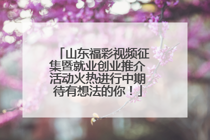 山东福彩视频征集暨就业创业推介活动火热进行中期待有想法的你！