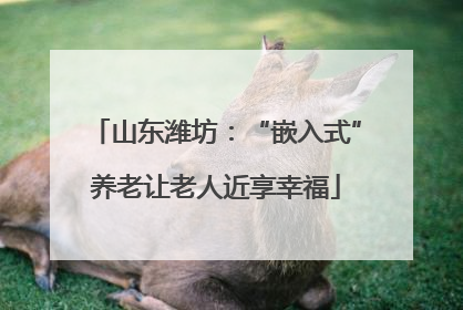 山东潍坊：“嵌入式”养老让老人近享幸福