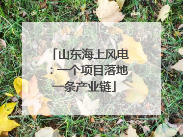 山东海上风电：一个项目落地一条产业链