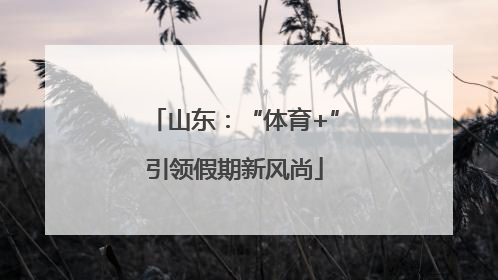 山东：“体育+”引领假期新风尚