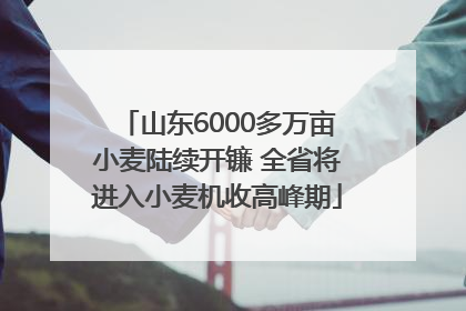 山东6000多万亩小麦陆续开镰 全省将进入小麦机收高峰期