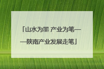 山水为墨 产业为笔——陕南产业发展走笔