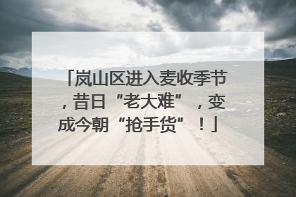 岚山区进入麦收季节，昔日“老大难”，变成今朝“抢手货”！