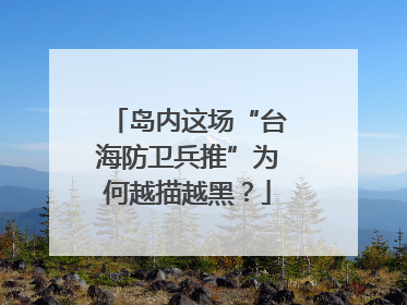 岛内这场“台海防卫兵推”为何越描越黑？