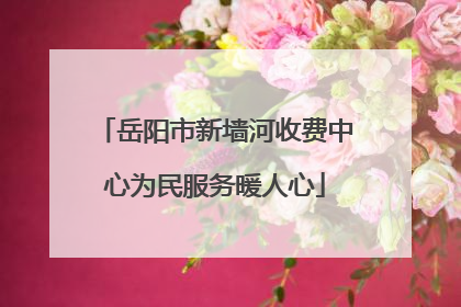岳阳市新墙河收费中心为民服务暖人心