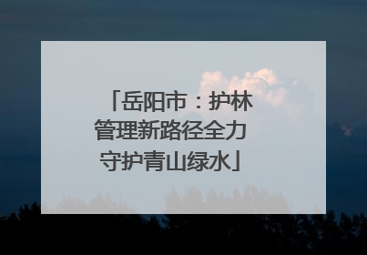 岳阳市：护林管理新路径全力守护青山绿水