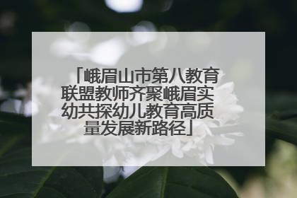 峨眉山市第八教育联盟教师齐聚峨眉实幼共探幼儿教育高质量发展新路径