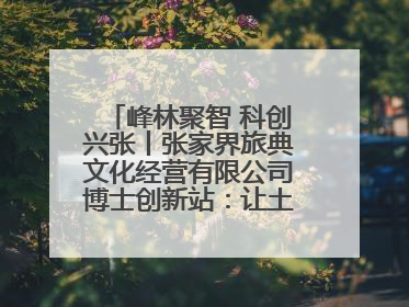 峰林聚智 科创兴张丨张家界旅典文化经营有限公司博士创新站：让土家织锦“智”造出非遗新传奇