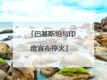 巴基斯坦与印度宣布停火