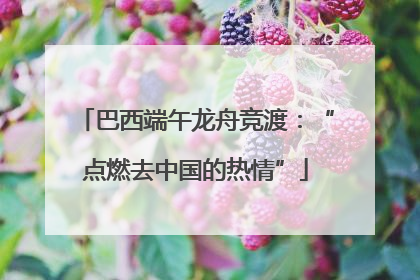 巴西端午龙舟竞渡：“点燃去中国的热情”