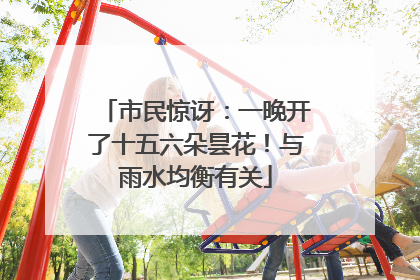 市民惊讶：一晚开了十五六朵昙花！与雨水均衡有关