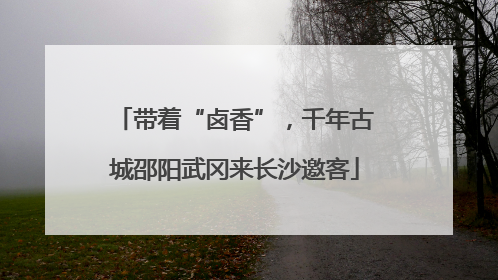 带着“卤香”，千年古城邵阳武冈来长沙邀客