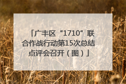 广丰区“1710”联合作战行动第15次总结点评会召开（图）