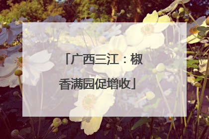 广西三江：椒香满园促增收