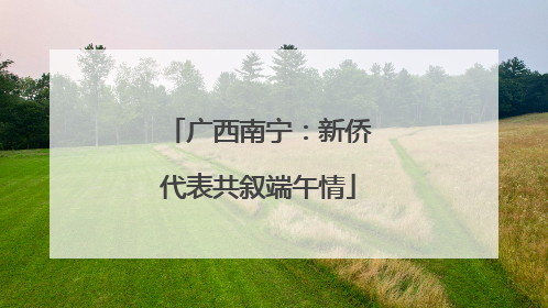 广西南宁：新侨代表共叙端午情