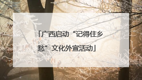 广西启动“记得住乡愁”文化外宣活动