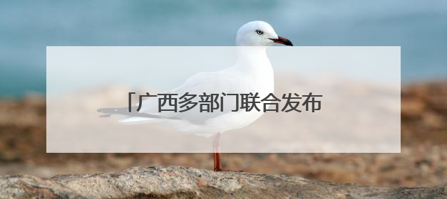 广西多部门联合发布残疾人权益典型案例
