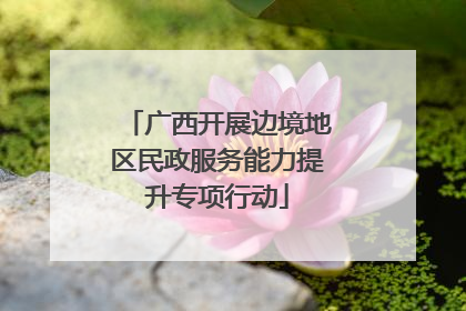 广西开展边境地区民政服务能力提升专项行动