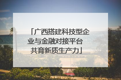 广西搭建科技型企业与金融对接平台 共育新质生产力
