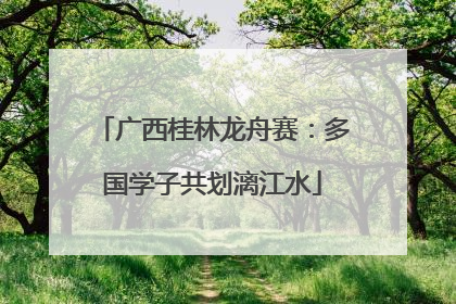 广西桂林龙舟赛：多国学子共划漓江水