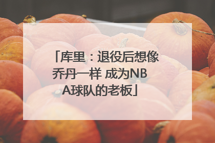 库里：退役后想像乔丹一样 成为NBA球队的老板