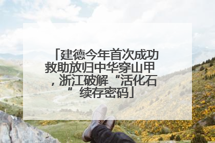建德今年首次成功救助放归中华穿山甲，浙江破解“活化石”续存密码