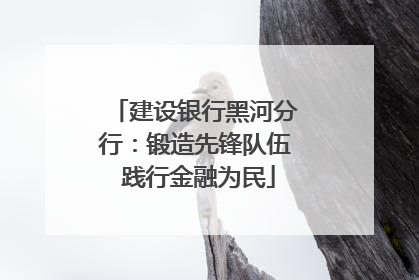 建设银行黑河分行：锻造先锋队伍 践行金融为民