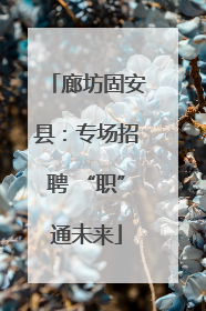廊坊固安县：专场招聘 “职”通未来