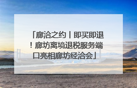 廊洽之约丨即买即退！廊坊离境退税服务端口亮相廊坊经洽会