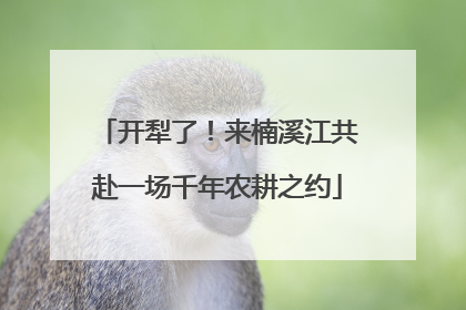 开犁了！来楠溪江共赴一场千年农耕之约