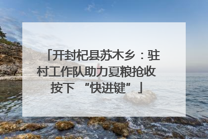 开封杞县苏木乡：驻村工作队助力夏粮抢收按下 “快进键”