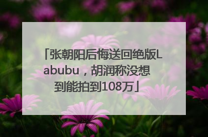 张朝阳后悔送回绝版Labubu，胡润称没想到能拍到108万