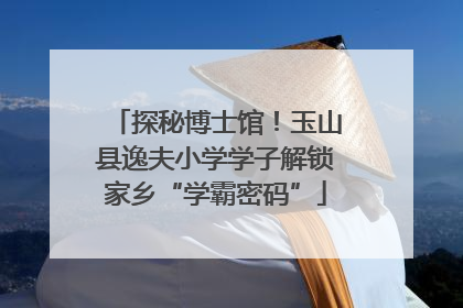 探秘博士馆！玉山县逸夫小学学子解锁家乡“学霸密码”