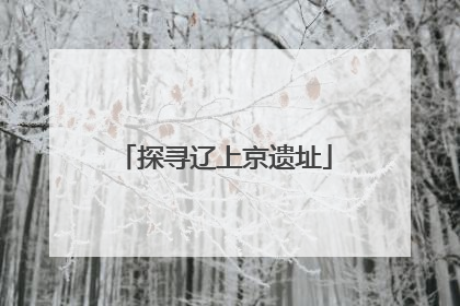 探寻辽上京遗址