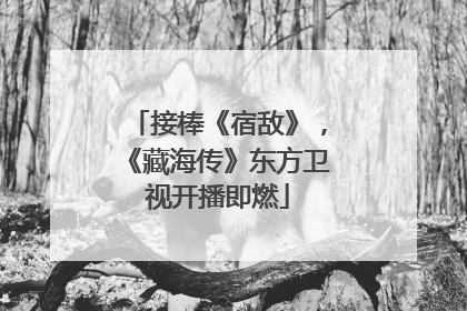 接棒《宿敌》，《藏海传》东方卫视开播即燃