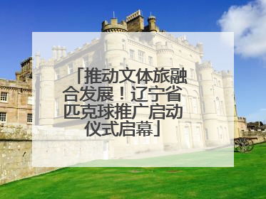 推动文体旅融合发展！辽宁省匹克球推广启动仪式启幕