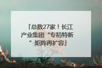 总数27家！长江产业集团“专精特新”矩阵再扩容