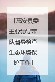 惠安县委主要领导带队督导检查生态环境保护工作