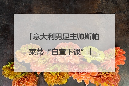 意大利男足主帅斯帕莱蒂“自宣下课”