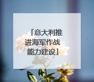 意大利推进海军作战能力建设