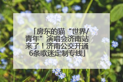 房东的猫“世界/青年”演唱会济南站来了！济南公交开通6条歌迷定制专线