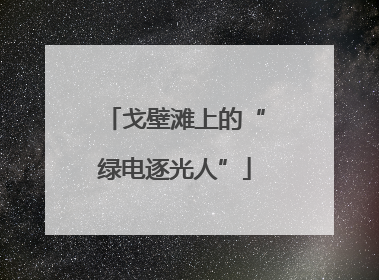 戈壁滩上的“绿电逐光人”