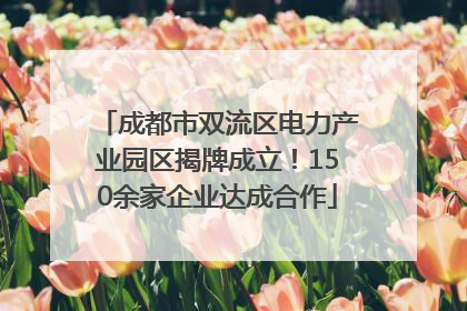 成都市双流区电力产业园区揭牌成立！150余家企业达成合作