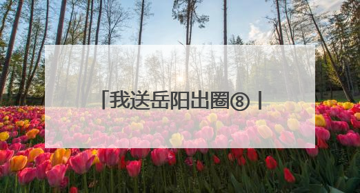 我送岳阳出圈⑧丨游船+光影秀 岳阳文旅出“新招”