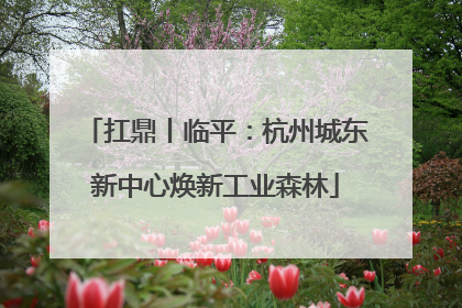 扛鼎丨临平：杭州城东新中心焕新工业森林