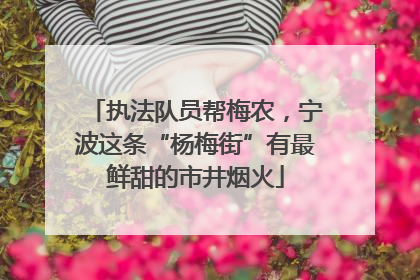 执法队员帮梅农，宁波这条“杨梅街”有最鲜甜的市井烟火