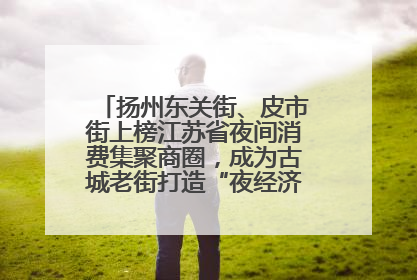 扬州东关街、皮市街上榜江苏省夜间消费集聚商圈，成为古城老街打造“夜经济”的样本